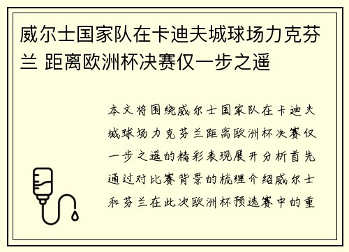 威尔士国家队在卡迪夫城球场力克芬兰 距离欧洲杯决赛仅一步之遥 威尔士国家队在卡迪夫城球场力克芬兰 距离欧洲杯决赛仅一步之遥